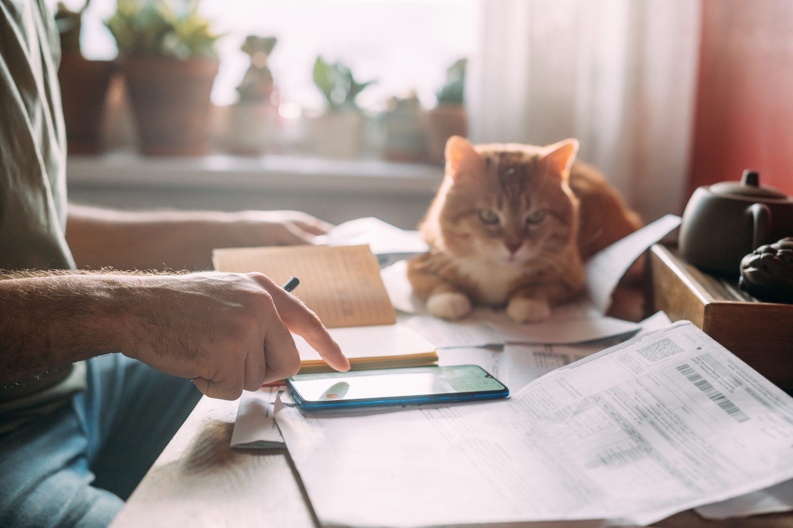 Why Your Heating Bills Are So High in Nevada (And How to Lower Them Fast)